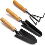 Farmlyn Creek Set of 3 Black Iron Gardening Tools Set – Mini Hand Trowel, Transplanter, Hand Rake Cultivator - Image 3