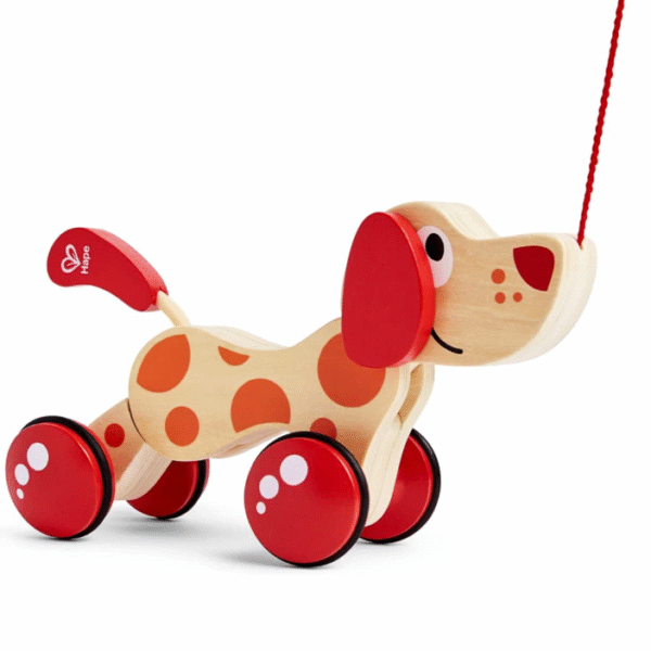 (1, 40 x 40 cm) – Hape E0347 Pepe Pull Along – Walk Along Wooden Dog Toy – Virtual Pet